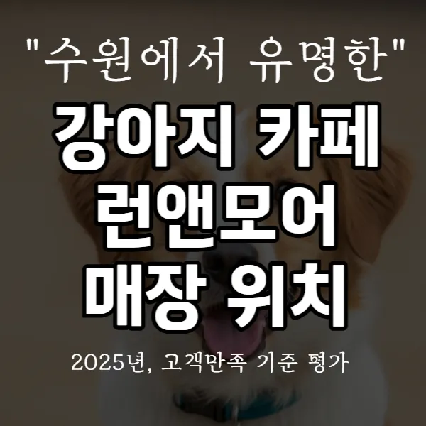 강아지 카페 런앤모어 매장 위치