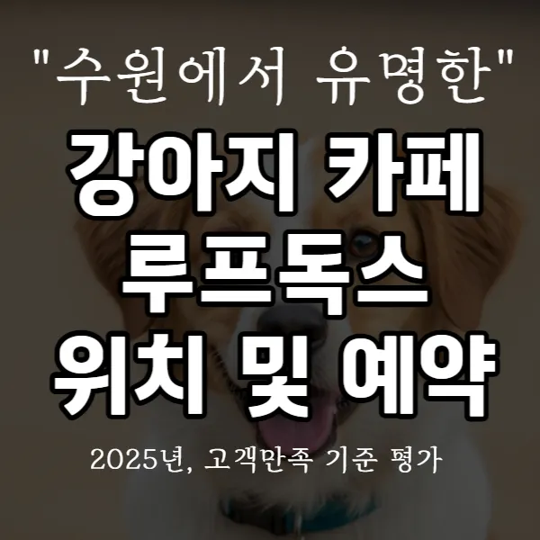 강아지 카페 루프독스 위치 및 예약