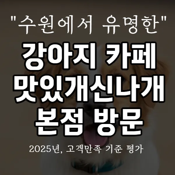 강아지 카페 맛있개신나개 본점 방문