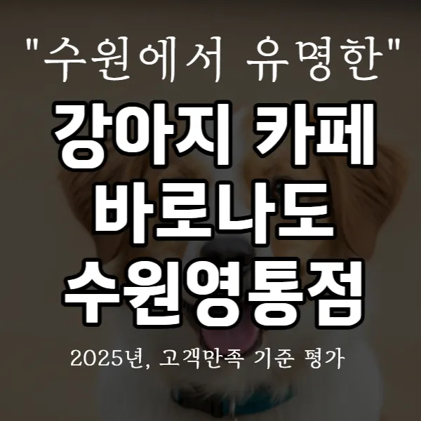 강아지 카페 바로나도 수원영통점