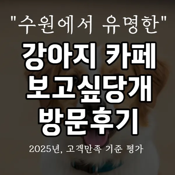 강아지 카페 보고싶당개 방문 후기