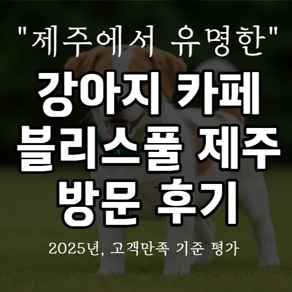 강아지 카페 블리스풀 제주 방문후기