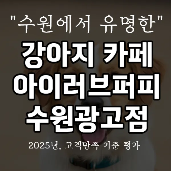 강아지 카페 아이러브퍼피 수원광고점