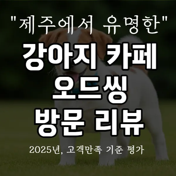 강아지 카페 오드씽 방문 리뷰