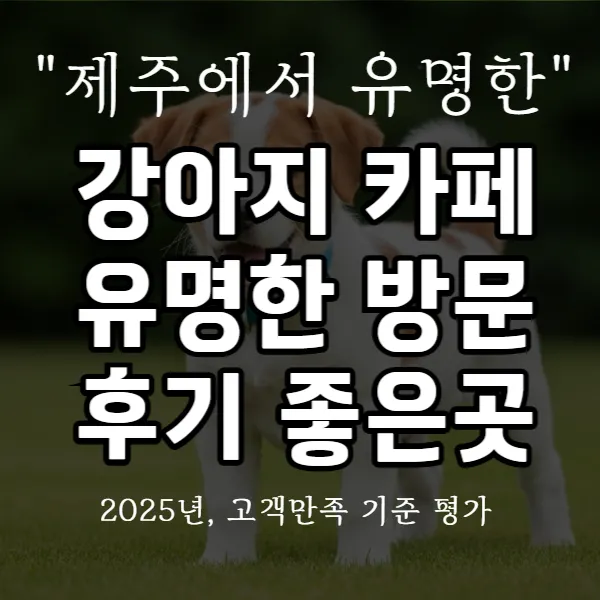 강아지 카페 유명한 방문 후기 좋은곳