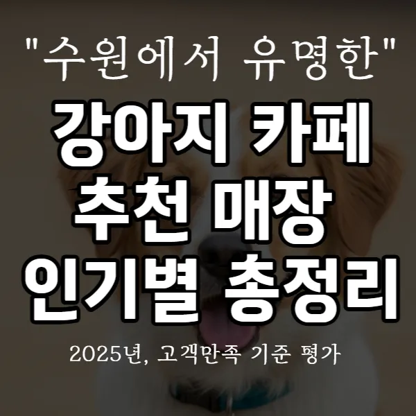 강아지 카페 추천 매장 수원별 정리