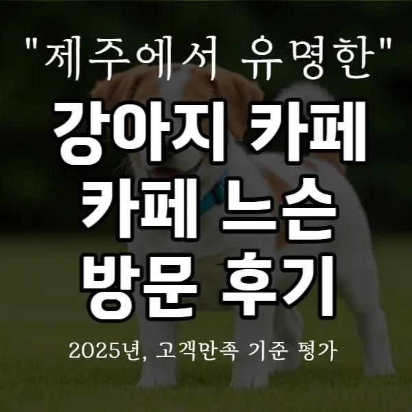 강아지 카페 카페느슨 방문 후기