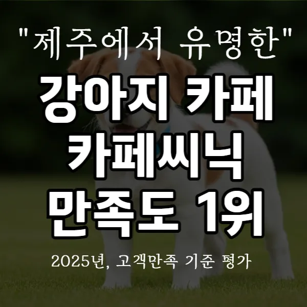 강아지 카페 카페씨닉 만족도 1위