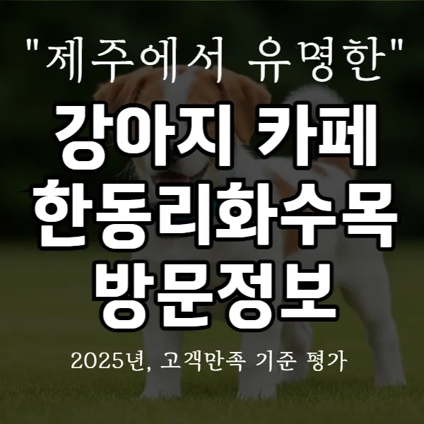 강아지 카페 한동리화수목 방문 정보