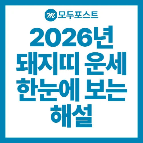 2026년 돼지띠 운세 재물운·연애운·직업운까지 한눈에 보는 해설
