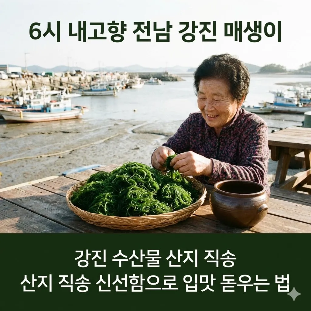 6시 내고향 전남 강진 매생이 맛집 강진 수산물, 산지 직송 신선함으로 입맛 돋우는 법