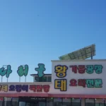 6시내고향 강원 인제 황태 다리골황태덕장, 설악산 찬바람이 빚어낸 황금빛 보약 맛집