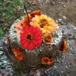 6시내고향 강원 평창 숲 놀이터 이안의 숲 체험 위치 및 예약 방법 완벽 가이드