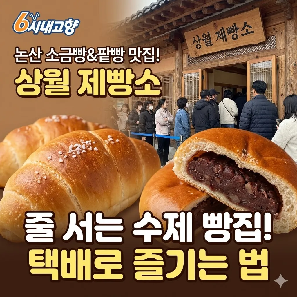 6시내고향 논산 소금빵 팥빵 맛집, 상월 제빵소 출연, 줄 서서 먹는 수제 빵집 택배로 즐기는 법