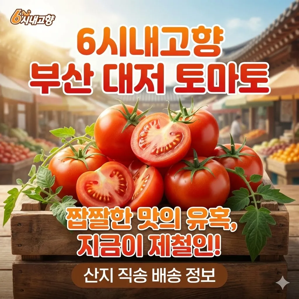 6시내고향 부산 대저 토마토 짭짤한 맛의 유혹 지금이 제철인 산지 직송 배송 정보
