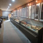 6시내고향 세종 전통놀이 박물관 조상의 숨결과 지혜를 체험하는 연기향토박물관 가이드