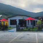 6시내고향 여수 방풍막걸리 금오도 바닷바람이 빚어낸 초록빛 보약, 방풍도가&푸드