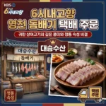 6시내고향 영천 돔배기 택배 주문 대승수산, 귀한 상어고기의 깊은 풍미와 정통 숙성 비결