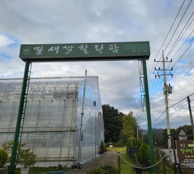 6시내고향 익산 치유농장 체험 및 힐링카페 밀새싹힐링팜(왕궁굿파머스) 위치 및 예약 방법 정리