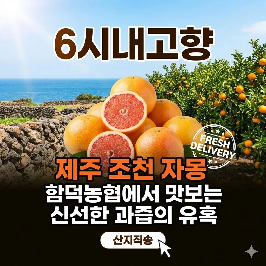 6시내고향 제주 조천 자몽, 함덕농협에서 맛보는 신선한 과즙의 유혹
