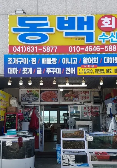 6시내고향 충남 홍성 남당항 새조개 택배 주문 및 동백회수산 위치 가격 정리