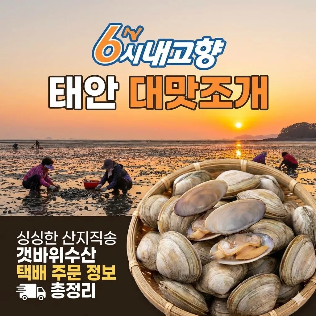 6시내고향 태안 대맛조개 싱싱한 산지직송 갯바위수산 택배 주문 정보 총정리