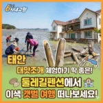 6시내고향 태안 대맛조개 체험하기 딱 좋은 둘레길펜션에서 이색 갯벌 여행 떠나보세요!