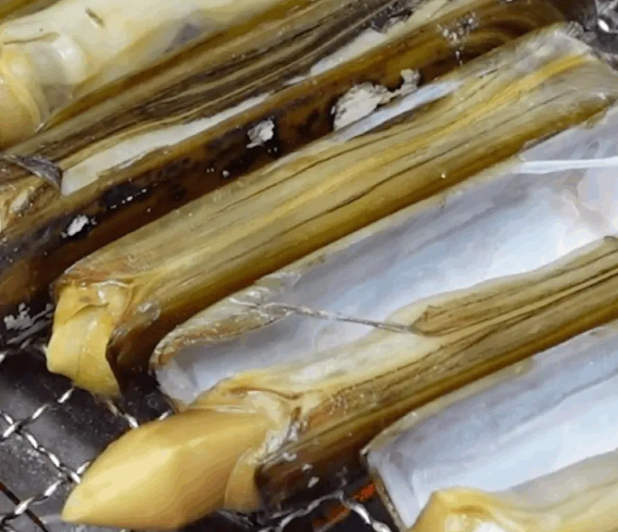 6시내고향 태안 대맛조개 하늘색청년 산지직송 택배 주문 및 손질법 가이드