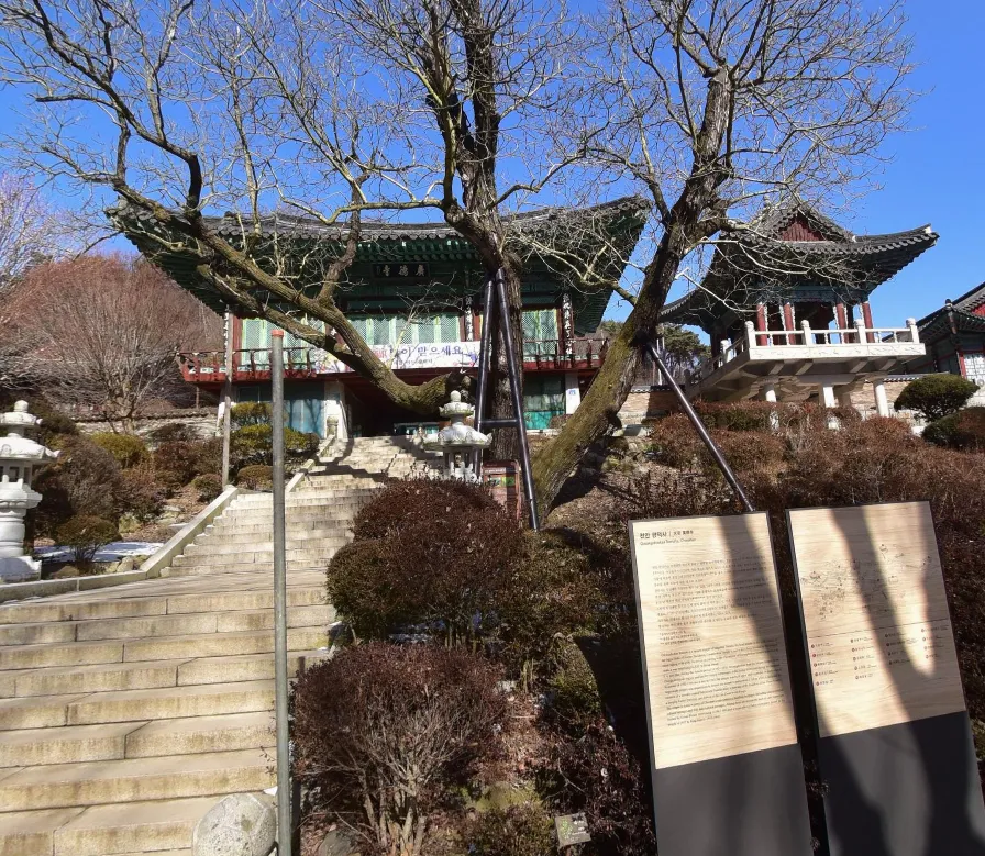 생생정보 떠나요 이야기로 천안 광덕사 방송 리뷰