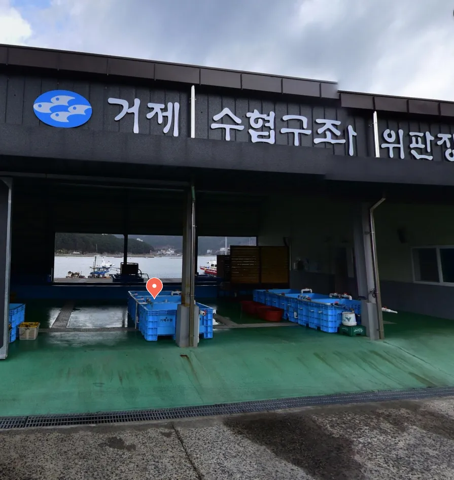 오늘N 오늘도 바다로 거제 구조라 위판장 제철 수산물 경매 및 택배 주문 정보
