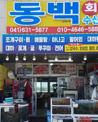 오늘N 충남 홍성 새조개, 겨울 바다의 귀족, 남당항 동백회수산 식당 정보