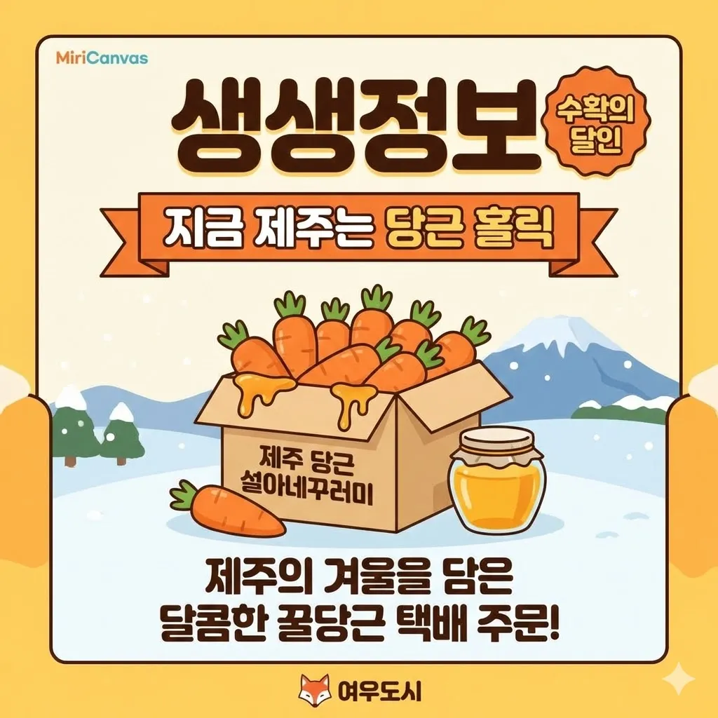 제주 당근 설아네꾸러미 택배 주문, 제주의 겨울을 담은 달콤한 꿀당근 생생정보 [수확의 달인]