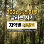 송진가루 날리는 시기 2026 지역별 총정리