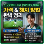 스포티비 나우 가격 및 해지 방법 정리