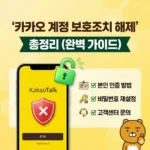 카카오 계정 오류 보호조치 해제 방법 총정리