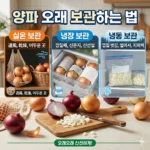 양파 보관방법 실온 냉장 냉동 오래 보관하는 법