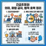 긴급조정권이란 의미와 파업 30일 금지 제한 요건 및 실제 법적 효력 정리