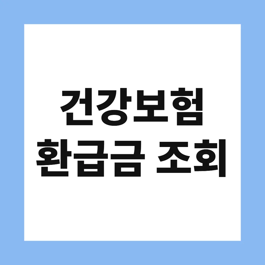 건강보험 환급금 조회