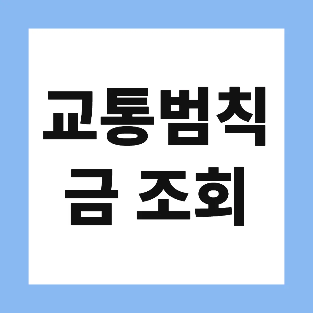 교통범칙금 조회