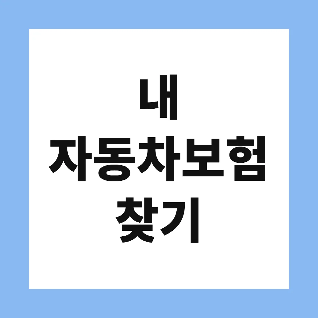 내 자동차보험 찾기