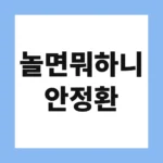 놀면뭐하니 안정환