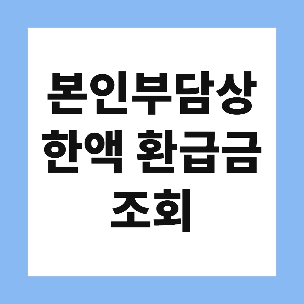 본인부담상한액 환급금 조회