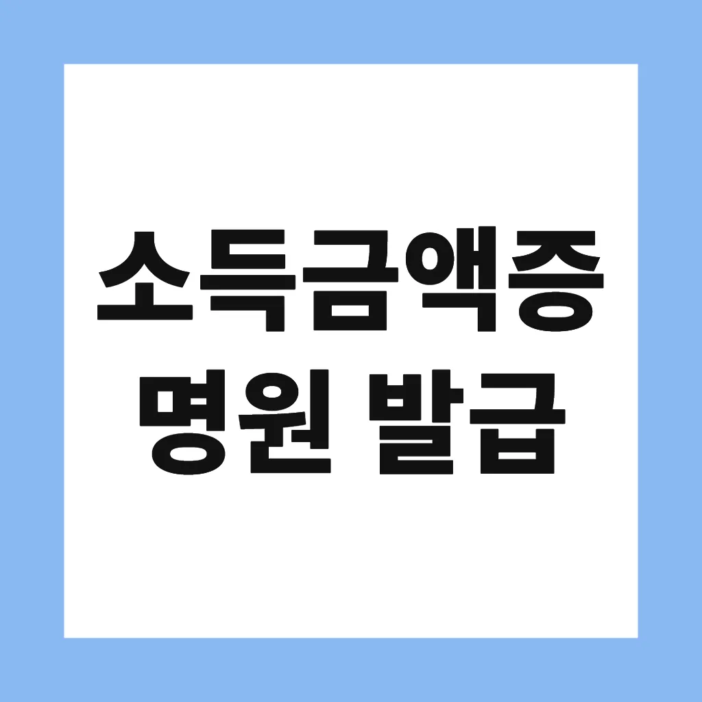 소득금액증명원 발급