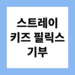 스트레이 키즈 필릭스 기부