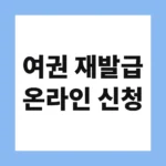 여권 재발급 온라인 신청
