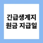 긴급생계지원금 지급일