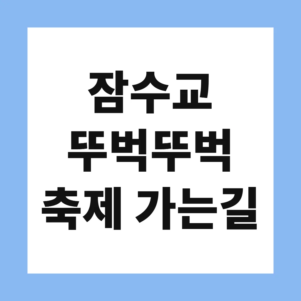 잠수교 뚜벅뚜벅 축제 가는길