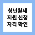 청년월세 지원 신청 자격 확인